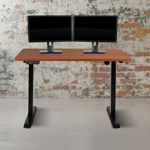 48W x 24D Standing Desk with Dual Monitor Arm