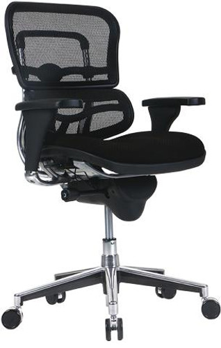  Eurotech Seating Ergohuman Chair with Mesh Back and Fabric Seat 