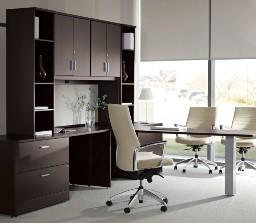 Friant Amenity Mesh Back Task Chair