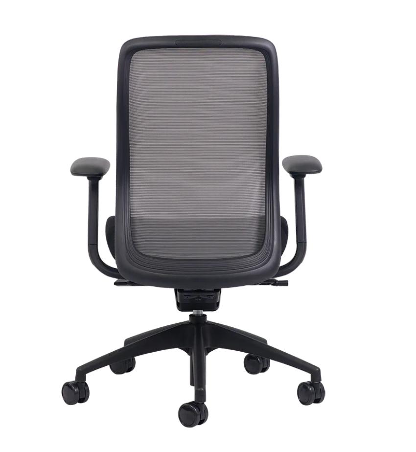 Eurotech Seating Vera Mesh Back Ergonomic Task Chair with Black Fabric Seat