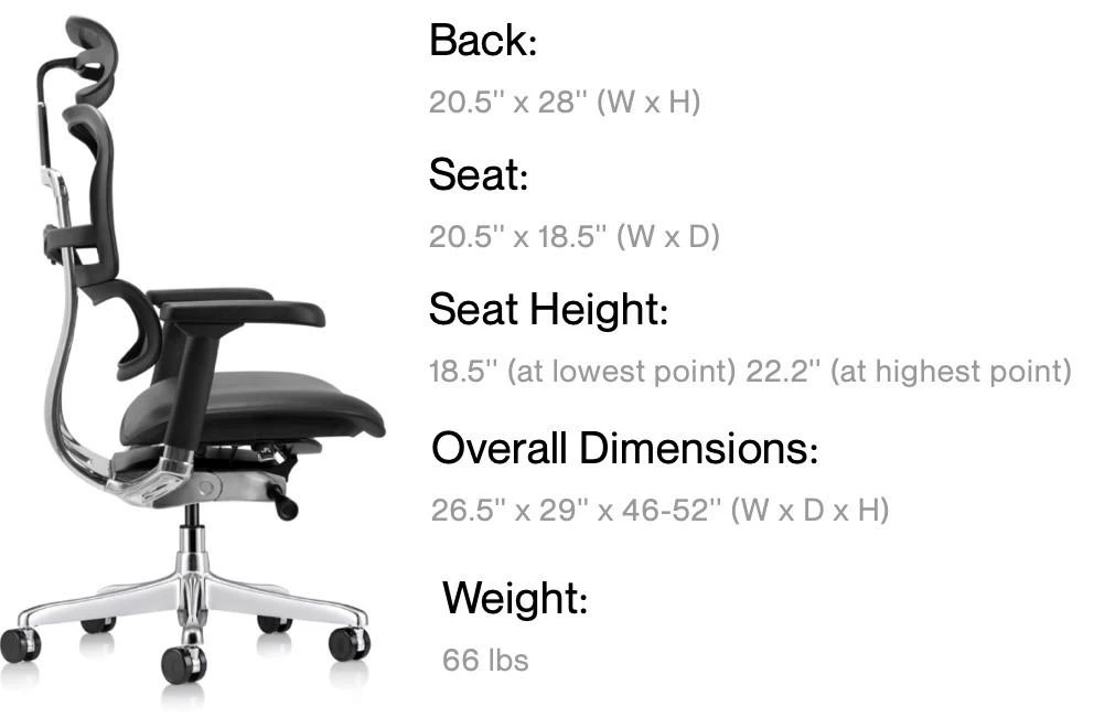 Eurotech Seating Eurotech Ergohuman GEN2 High Back Leather Seat Mesh Chair