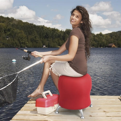 Safco Products Safco Zenergy Ergonomic Ball Chair 4750 (5 Color Options!)