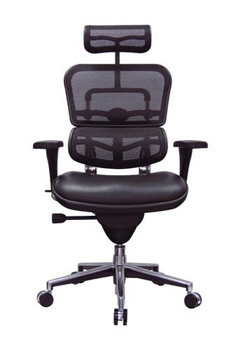 Eurotech Seating Eurotech Black Leather and Mesh Ergohuman Office Chair LEM4ERG 