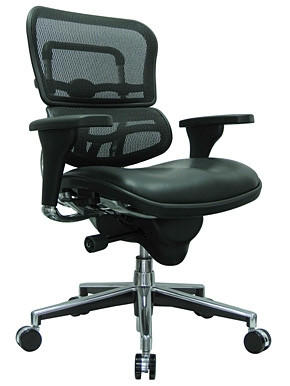 Eurotech Seating Eurotech Black Leather Ergohuman Mesh Low Back Chair LEM6ERGLO