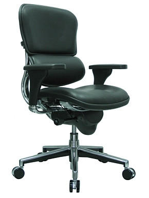 Eurotech Ergohuman Black Leather Luxury Chair