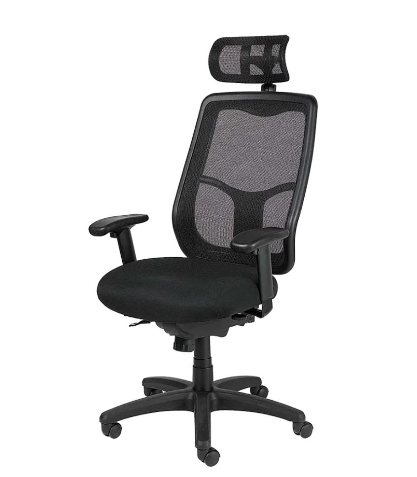 Eurotech Seating Apollo Ergonomic Office Chair with Headrest