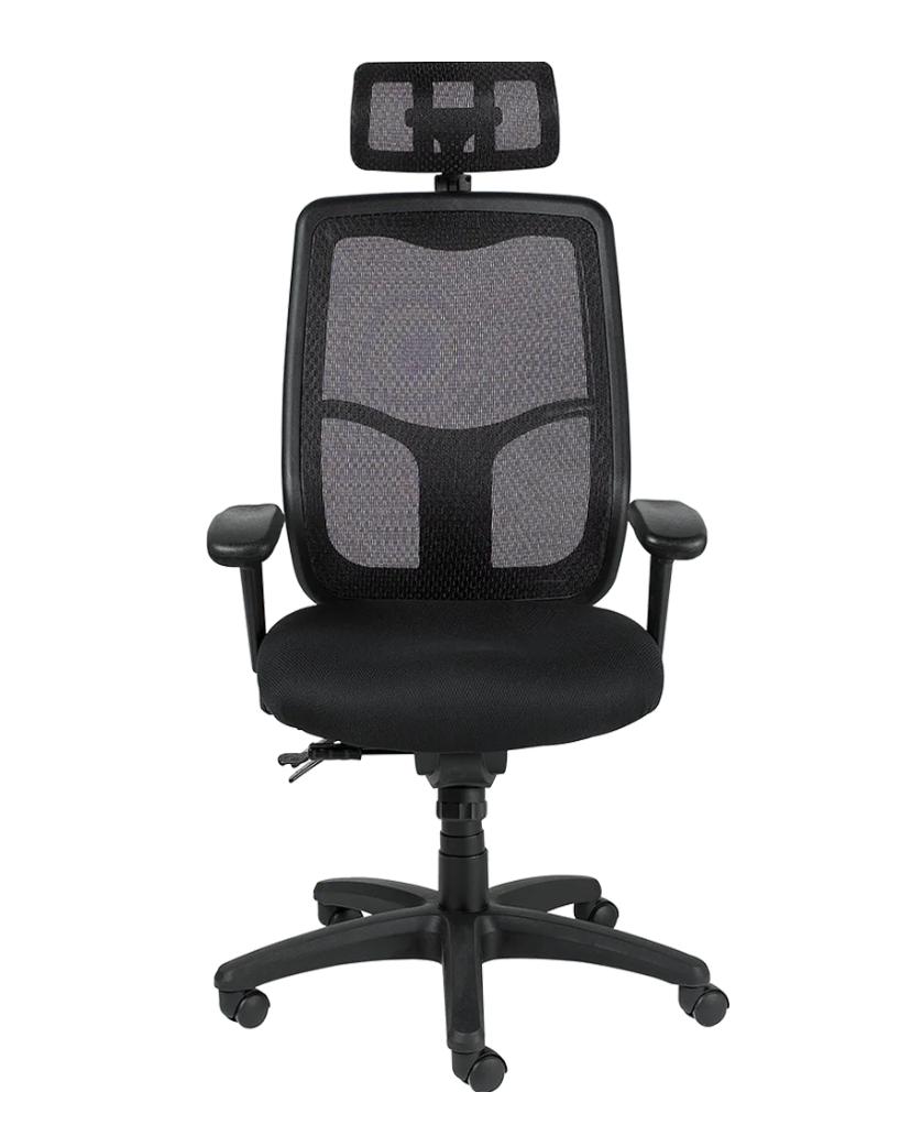 Eurotech Seating Apollo Ergonomic Office Chair with Headrest