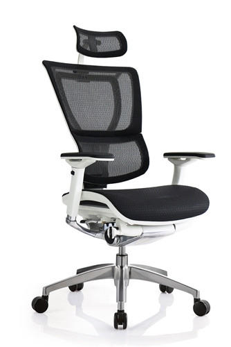  Eurotech Seating iOO Premium Ergonomic Mesh Chair iOO-WHT 