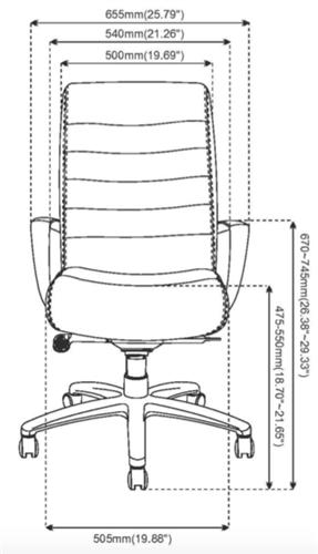  Eurotech Seating Manchester Leather Office Chair LE150 (2 Color Options Available!) 