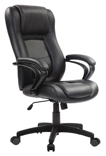 Eurotech Seating Pembroke High Back Leather Executive Chair LE521