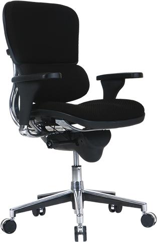 Eurotech Seating Ergohuman Office Chair