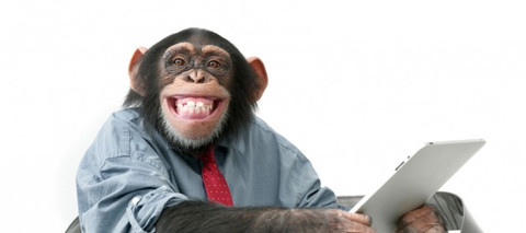 The Credit Mindset Vs. Monkey Mindset The Credit Mindset Vs. Monkey Mindset