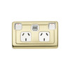 Brass Double GPO with USB Outlet