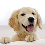 Test 2