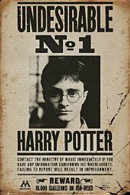Harry Potter Undiserable - POSTER *NEW*