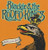 Blackie & The Rodeo Kings – Kings Of Love - 2CD *NEW*