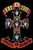 Guns N Roses Appetite for Destruction - POSTER #85 *NEW*