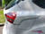 AcepStyling  ACEP Delta Taillight eyelid Armor fits the 2015, 2016, 2017, 2018 Ford Focus ST RS  DEL_FST1518 