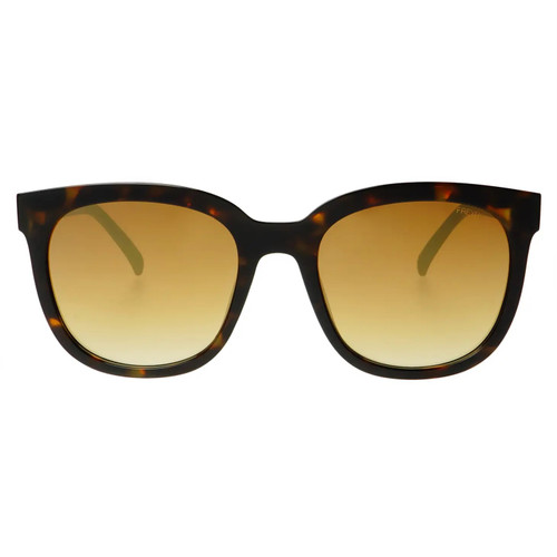 Taylor Sunglasses, Tortoise 