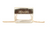 Gold Horse Bit Clear Bag