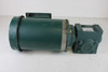 Reliance Electric P56X3150G Motor 3/4HP 1725RPM w/Dodge Tigear 15:1 Gear Reducer