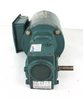 Reliance Electric P56H1338G Elec Motor 1/2Hp 1725 RPM w/Dodge Tigear 5:1 Ratio