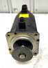 Fanuc A06B-0163-B175 AC Servo Motor, 161V
