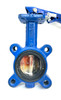 Unknown Blue 2.5" Butterfly Valve