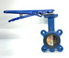 Unknown Blue 2.5" Butterfly Valve