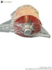 New In Box Tosiba E3069 Heater Image 2