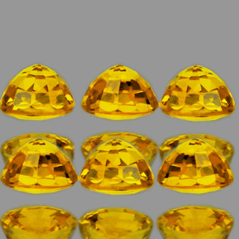 3.00 mm Round Step Cut 6 pieces AAA Fire Luster Natural Yellow Sapphire [Flawless-VVS]-AAA Grade
