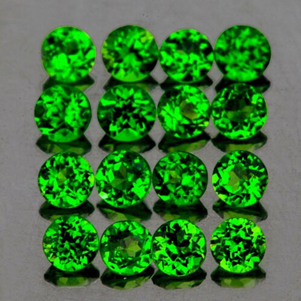 2.50 mm Round 16 pcs AAA Luster Natural Unheated Chrome Green Diopside [Flawless-VVS]