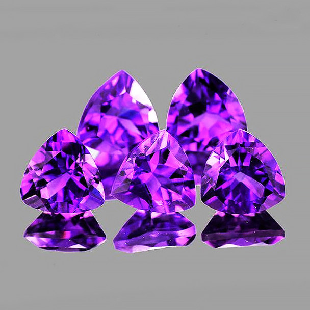6.00 mm Trillion 5 pieces Fire Luster Natural Intense Amethyst [Flawless-VVS]