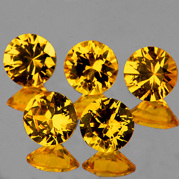 3.20 mm Round 5 pieces AAA Fire Natural Intense Yellow Sapphire [Flawless-VV