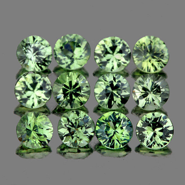 2.70 mm Round 12 pieces AAA Fire Luster Natural Green Sapphire [Flawless-VVS]
