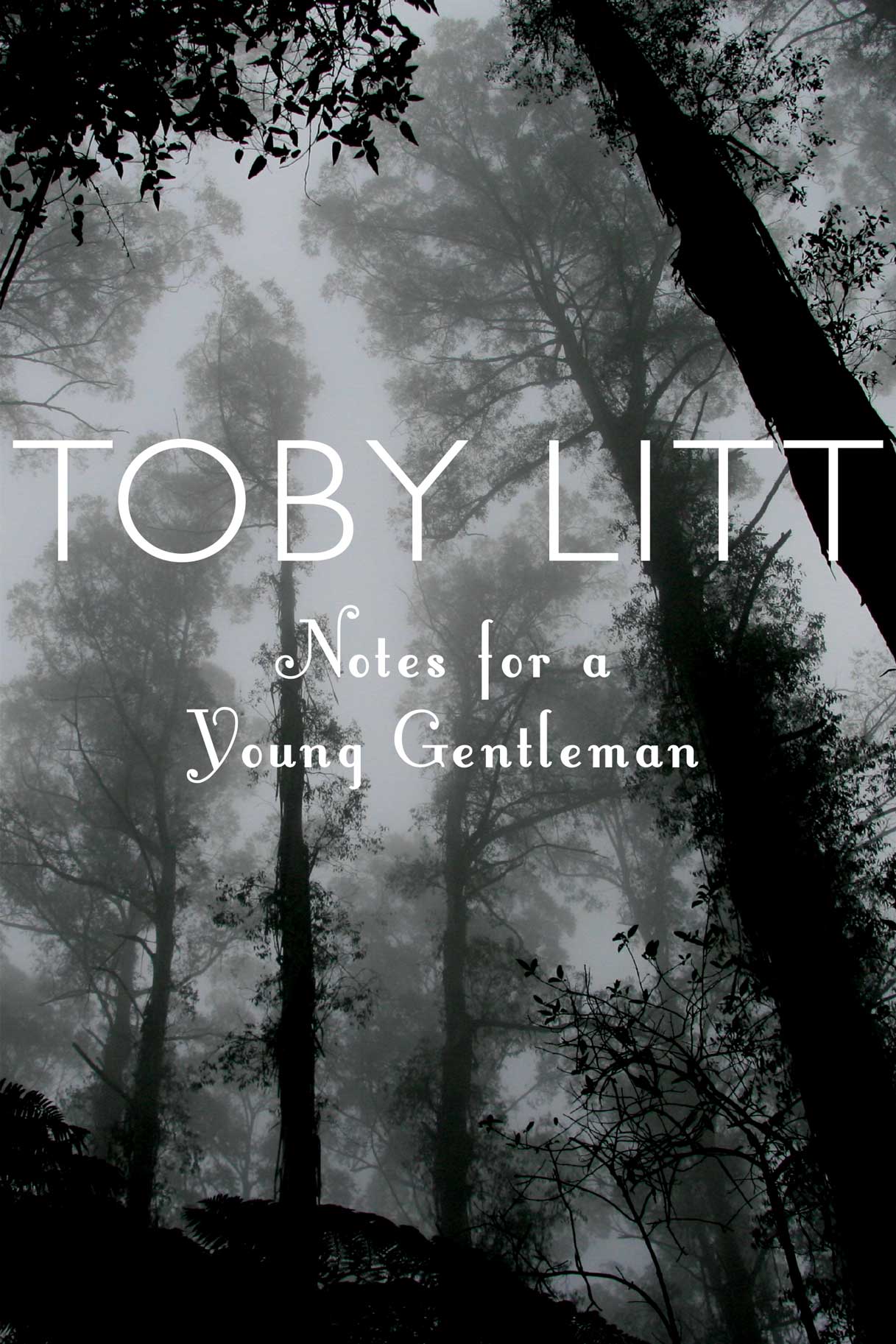 Notes for a Young Gentleman by Toby Litt | Seagull Books