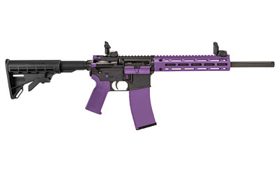 Tippmann Arms Company M4-22 Accent .22 LR Semi-Automatic Tactical Rifle with Collapsible Stock