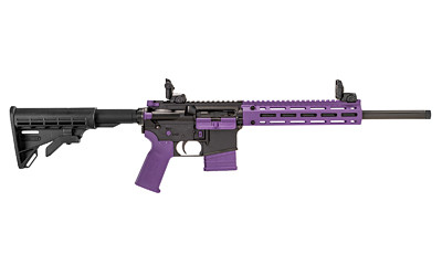 Tippmann Arms Company M4-22 Accent .22 LR Semi-Automatic Tactical Rifle with Collapsible Stock