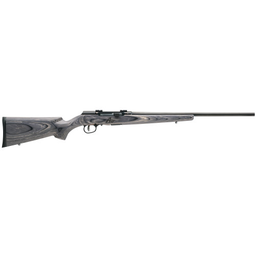 Savage Arms A17 Sporter 17 HMR Semi-Automatic Rifle with 22-Inch Barrel, 10-Round Capacity