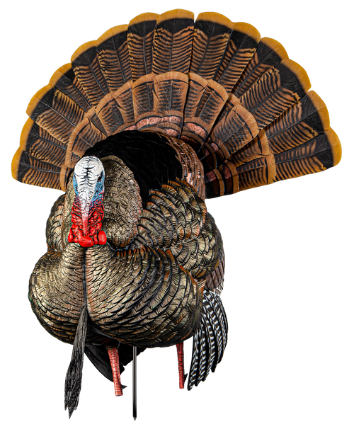 Avian X (gsm) Hdr, Avian Avxavx8108   Avx Hdr Strutter         Decoy