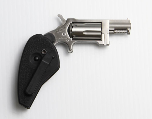 North American Arms Sidewinder .22 Magnum Revolver with Stainless Finish, 5-Round Capacity