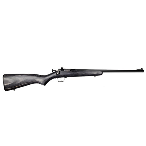 Keystone Sporting Arms Crickett .22LR Single Shot Rifle with Blue Finish and Black Laminate Stock