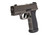 Sig Sauer P365 AXG Legion 9mm with 3.1-Inch Barrel and Optic Ready Slide