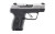 Ruger LCP Max .380 Auto Compact Semi-Automatic Pistol - 10 Rounds, Black/Silver