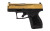 Taurus GX4 9mm Compact Semi-Automatic Pistol with 13-Round Capacity - Black and Gold