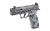 Sig Sauer SCT Anime Macro 365X Compact 9mm Pistol with Custom Cartoon Finish