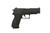 SIG SAUER P220 R .45 ACP Nitron with SIGLITE Sights and Two Magazines