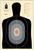 Action Target B27EPROS100 Pro-Shot B-27E Silhouette Targets, 100-Pack