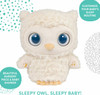 Sleepy Eyes Owl Bedtime Soother, 8 In 3