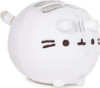 Pusheen Squishy Round (assorted colors) 5